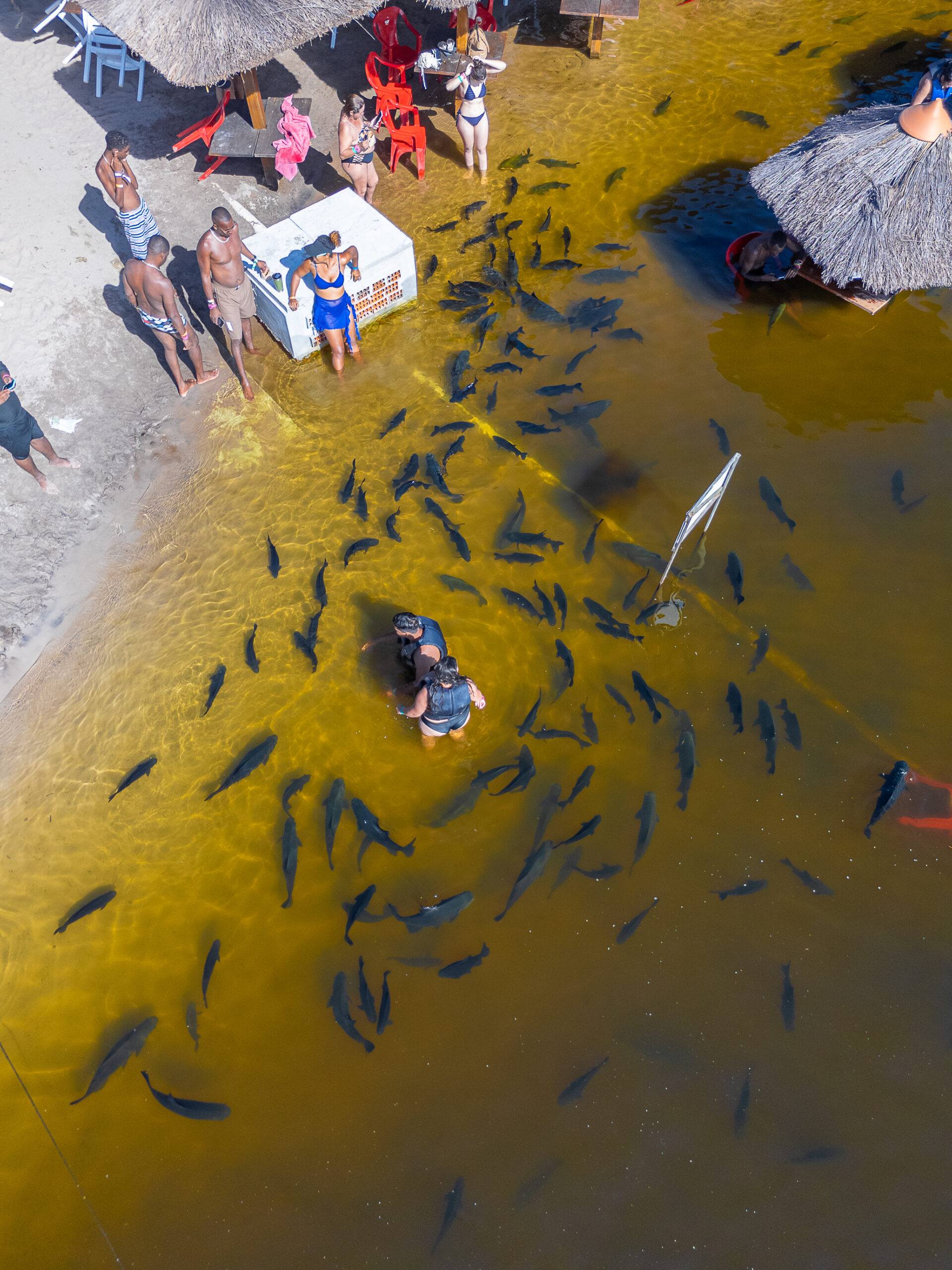 Banho com os tambaquis